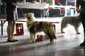 IMG_0156