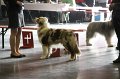 IMG_0157