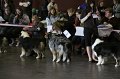 IMG_0171
