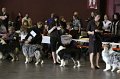 IMG_0172