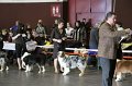 IMG_0175