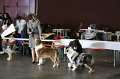 IMG_0176