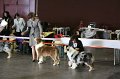 IMG_0177