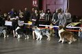IMG_0178
