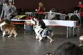 IMG_0179