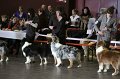 IMG_0182