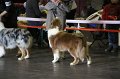IMG_0192