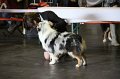 IMG_0194