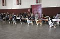 IMG_0195