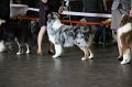 IMG_0196