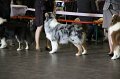 IMG_0197