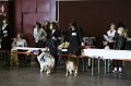 IMG_0200