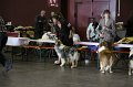 IMG_0210