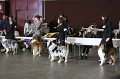 IMG_0212