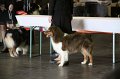 IMG_0222