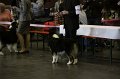 IMG_0227