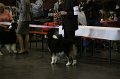 IMG_0228
