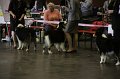 IMG_0229