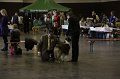 IMG_0233