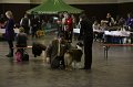IMG_0234