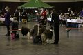 IMG_0235