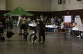 IMG_0237
