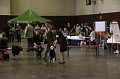 IMG_0238