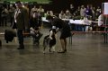 IMG_0239