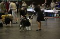 IMG_0246