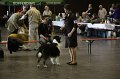 IMG_0250