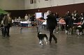 IMG_0256