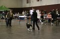IMG_0257