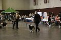 IMG_0258