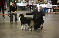 IMG_0259