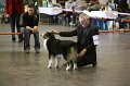 IMG_0261