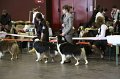 IMG_0267