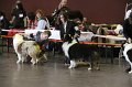 IMG_0278