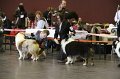 IMG_0279