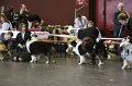 IMG_0281