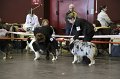 IMG_0283