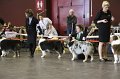 IMG_0295