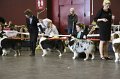IMG_0296