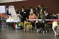 IMG_0297