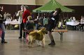 IMG_0301
