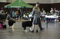 IMG_0303