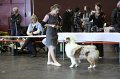 IMG_0306