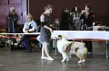 IMG_0307