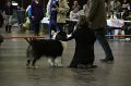IMG_0311