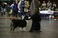 IMG_0312