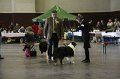 IMG_0314